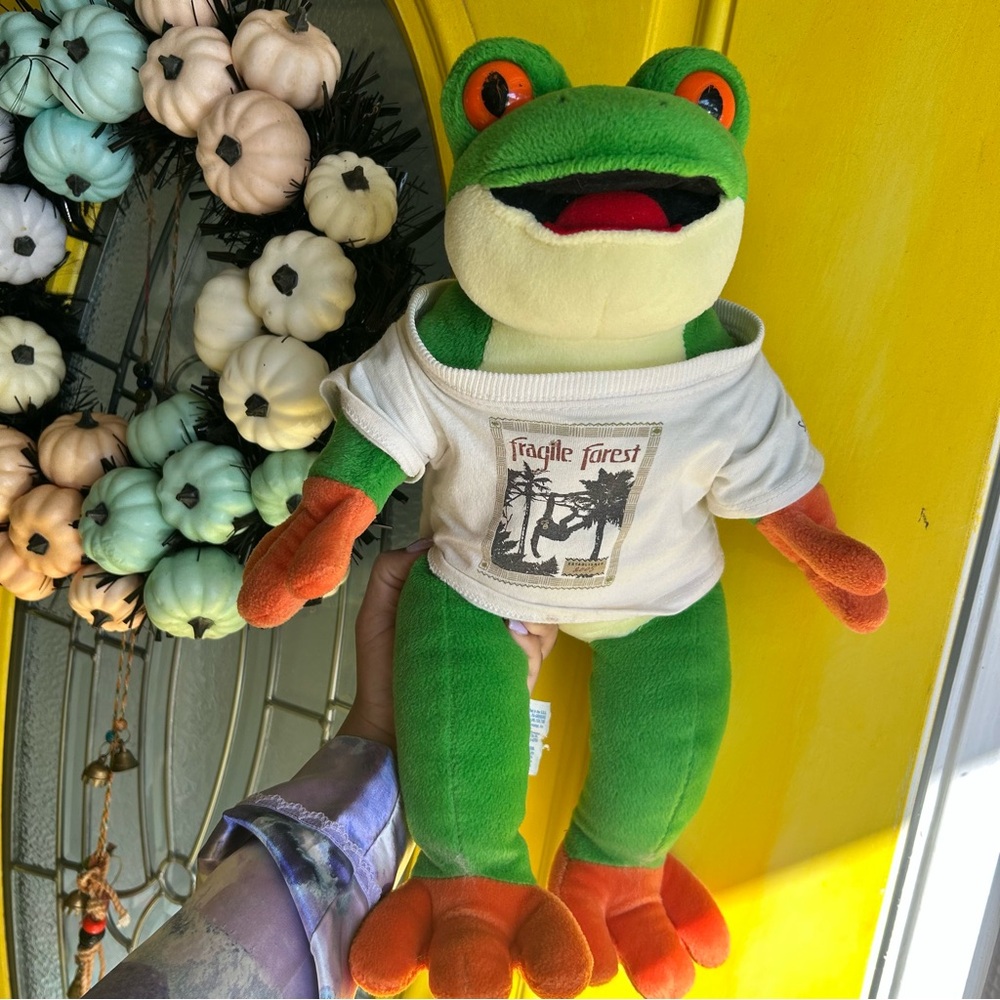 RARE 2006 Build-A-Bear Tree Frog Plush 🐸✨